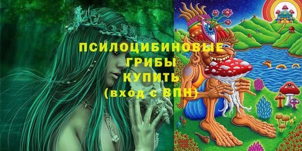 скорость Абаза