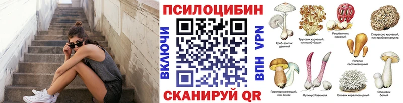 ссылка на мегу маркетплейс  Шарья  Псилоцибиновые грибы ЛСД  где найти наркотики 
